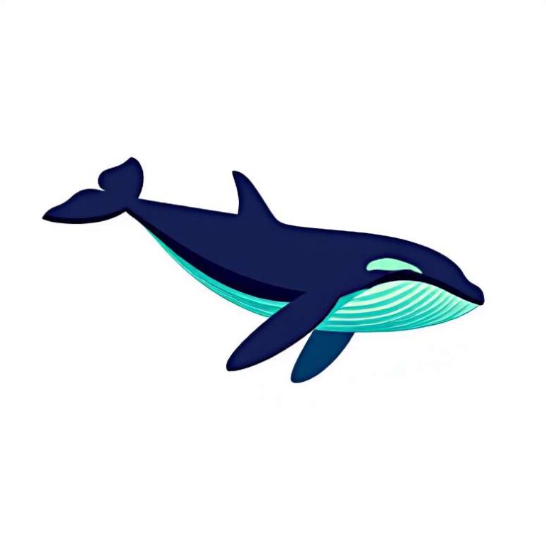 Whale watching tour agency Bird watching area Boat tour agency Nature preserve Wildlife and safari park 00001  1 768x768